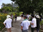 aaRIMG0061.jpg