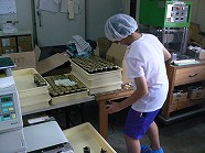 aaP1120007.jpg