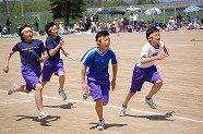 ss-DSC_0599.jpg