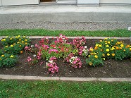 aaCIMG7232.jpg