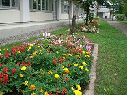 aaCIMG7233.jpg