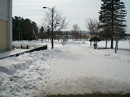 asCIMG7855.jpg