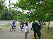 bbcCIMG7397.jpg