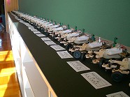 bcCIMG7535.jpg