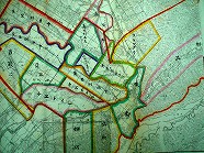 iiiCIMG7711.jpg