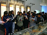 iiiIMGP2736.jpg