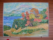 ss-DSCN1864.jpg