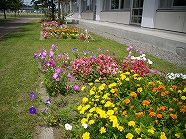 ss-IMGP1798.jpg