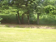 ss-IMGP1801.jpg