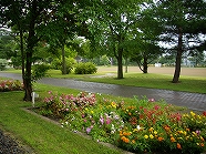 ss-IMGP1805.jpg