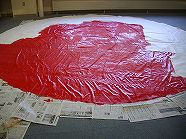 ss-IMGP2248.jpg
