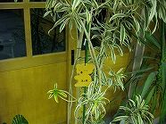 ss-IMGP2277.jpg