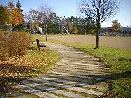 ss-IMGP2284.jpg